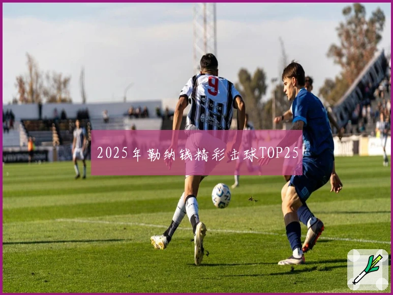 2025年勒纳钱精彩击球TOP25