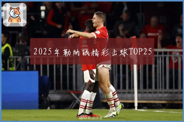 2025年勒纳钱精彩击球TOP25