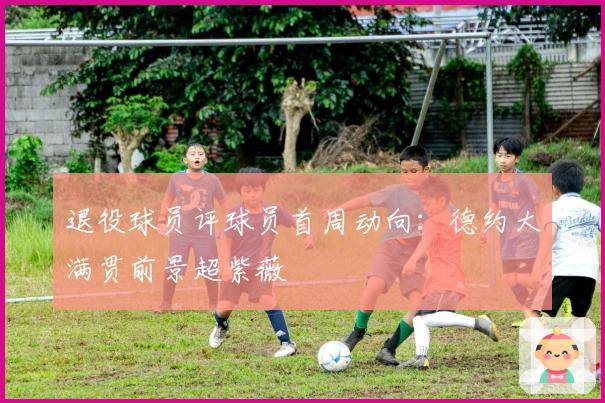 退役球员评球员首周动向：德约大满贯前景超紫薇