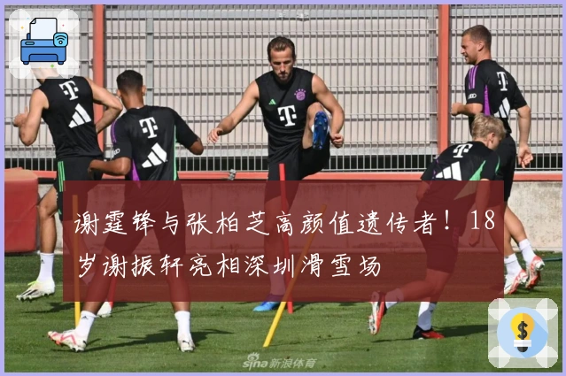 谢霆锋与张柏芝高颜值遗传者！18岁谢振轩亮相深圳滑雪场