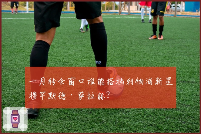 一月转会窗口谁能搭档利物浦新星穆罕默德·萨拉赫？